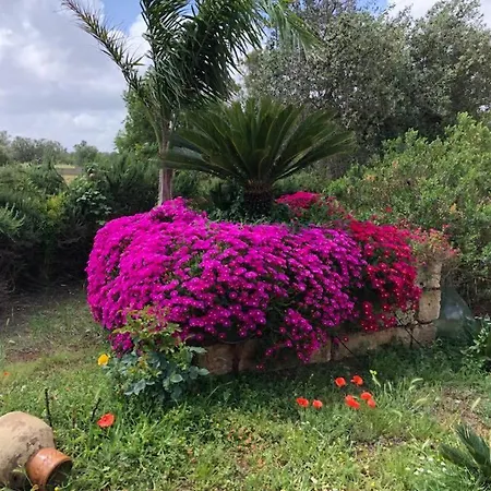 Curti Russi Bed & Breakfast *