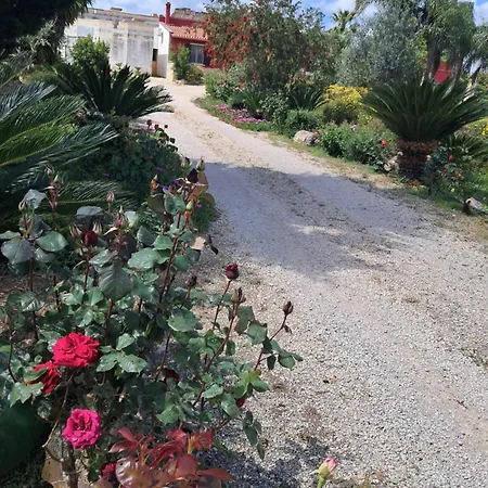 Bed & Breakfast Curti Russi Monteroni di Lecce