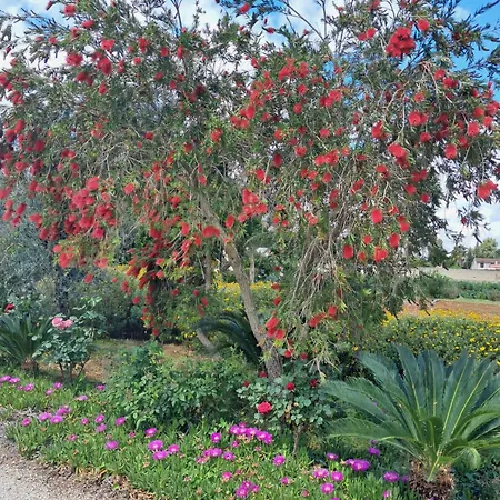 Curti Russi Bed & Breakfast