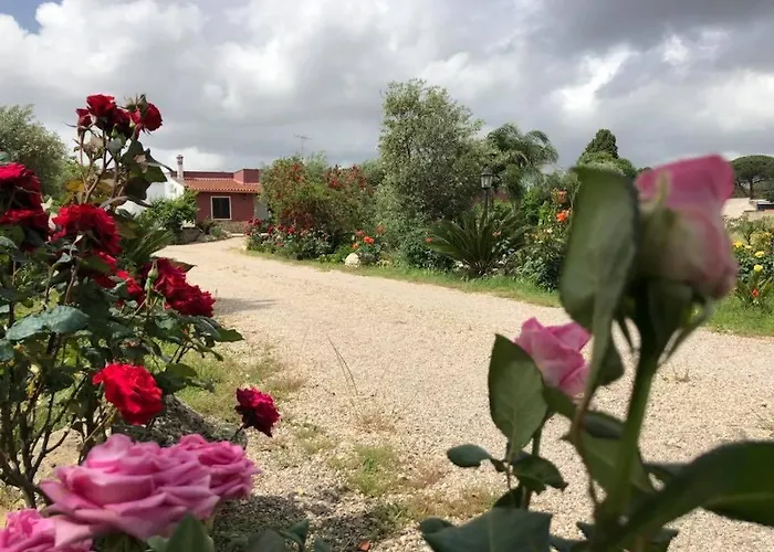 Curti Russi * Monteroni di Lecce