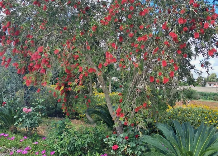 Curti Russi Frühstückspension