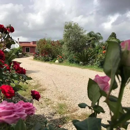 Curti Russi * Monteroni di Lecce