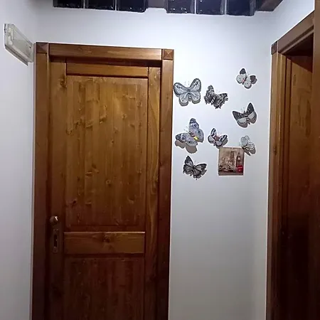 Curti Russi