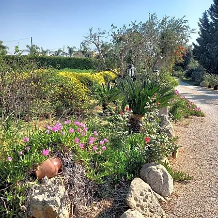 Curti Russi מונטרוני די לצ'ה